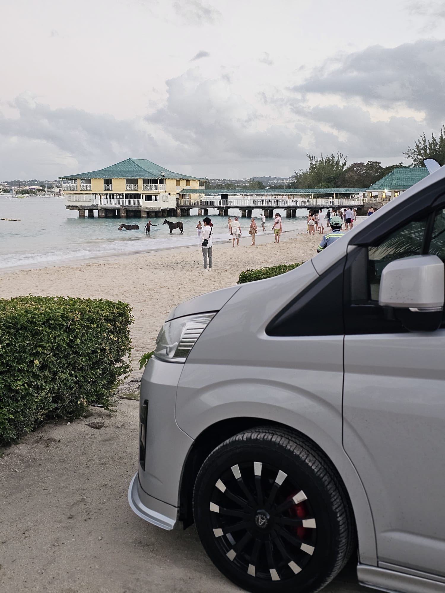 Unique Chauffeurs van at a Barbados beach with swimming horses